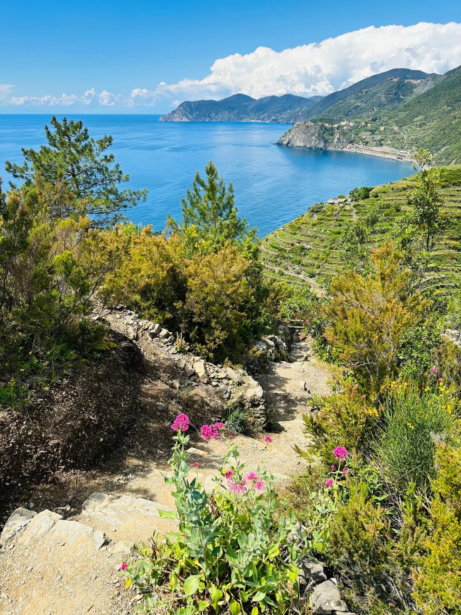 Al Castello 1 Otel Riomaggiore Dış mekan fotoğraf